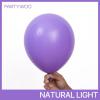 PartyWoo Metallic Gold Balloons, 85 pcs Gold Metallic Balloons Different Sizes Pack of 18 Inch 12 Inch 10 Inch 5 Inch Gold Balloons for Balloon Garland or Balloon Arch as Party Decorations, Gold-G101(Purple-y15)