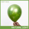PartyWoo Metallic Gold Balloons, 85 pcs Gold Metallic Balloons Different Sizes Pack of 18 Inch 12 Inch 10 Inch 5 Inch Gold Balloons for Balloon Garland or Balloon Arch as Party Decorations, Gold-G101(Green-g121)
