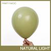 PartyWoo Metallic Gold Balloons, 85 pcs Gold Metallic Balloons Different Sizes Pack of 18 Inch 12 Inch 10 Inch 5 Inch Gold Balloons for Balloon Garland or Balloon Arch as Party Decorations, Gold-G101(Green-f11)