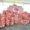 PartyWoo Metallic Gold Balloons, 85 pcs Gold Metallic Balloons Different Sizes Pack of 18 Inch 12 Inch 10 Inch 5 Inch Gold Balloons for Balloon Garland or Balloon Arch as Party Decorations, Gold-G101(Pink-f01)