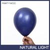 PartyWoo Metallic Gold Balloons, 85 pcs Gold Metallic Balloons Different Sizes Pack of 18 Inch 12 Inch 10 Inch 5 Inch Gold Balloons for Balloon Garland or Balloon Arch as Party Decorations, Gold-G101(Blue-z90)