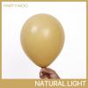 PartyWoo Metallic Gold Balloons, 85 pcs Gold Metallic Balloons Different Sizes Pack of 18 Inch 12 Inch 10 Inch 5 Inch Gold Balloons for Balloon Garland or Balloon Arch as Party Decorations, Gold-G101(Tan-f19)