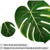 PartyWoo Palm Leaves, 34 pcs Fake Artificiall Palm Leaves, Summer Tropical Fiesta Party Decorations, Flamingo Hawaiian Party Supplies