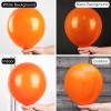 PartyWoo Orange Balloons 51 pcs 12 Inch Fall Tangerine Latex Helium Balloons for Thanksgiving Halloween Little Cutie Wedding Baby Shower Birthday Graduation Party Decorations Orange-Y9