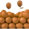 PartyWoo Caramel Brown Balloons, 50 pcs 5 Inch Boho Brown Balloons, Matte Brown Balloons for Balloon Garland or Balloon Arch as Party Decorations, Birthday Decorations, Wedding Decorations, Brown-F10